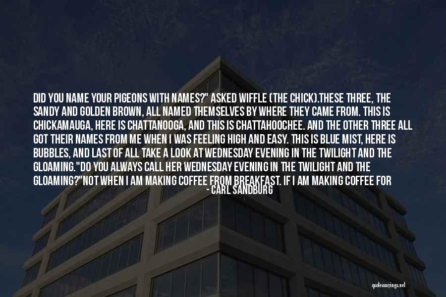 Chattanooga Quotes By Carl Sandburg Chattanooga Quotes By Carl Sandburg