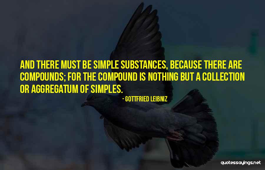 Chattarpur Temple Quotes By Gottfried Leibniz Chattarpur Temple Quotes By Gottfried Leibniz