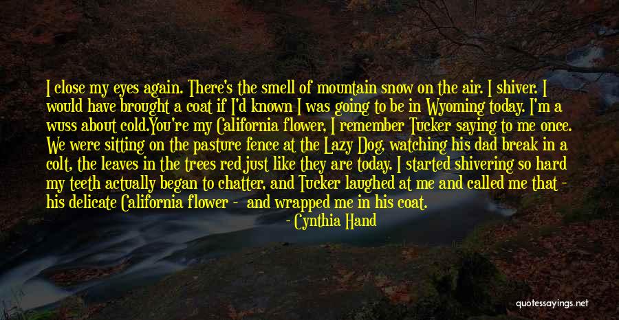 Chatter Quotes By Cynthia Hand Chatter Quotes By Cynthia Hand