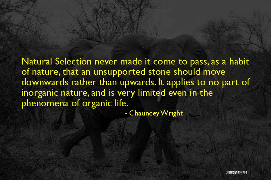 Chauncey Wright Quotes 1318147