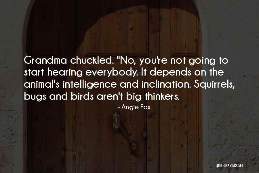 Chauncy Automotive Amarillo Quotes By Angie Fox Chauncy Automotive Amarillo Quotes By Angie Fox