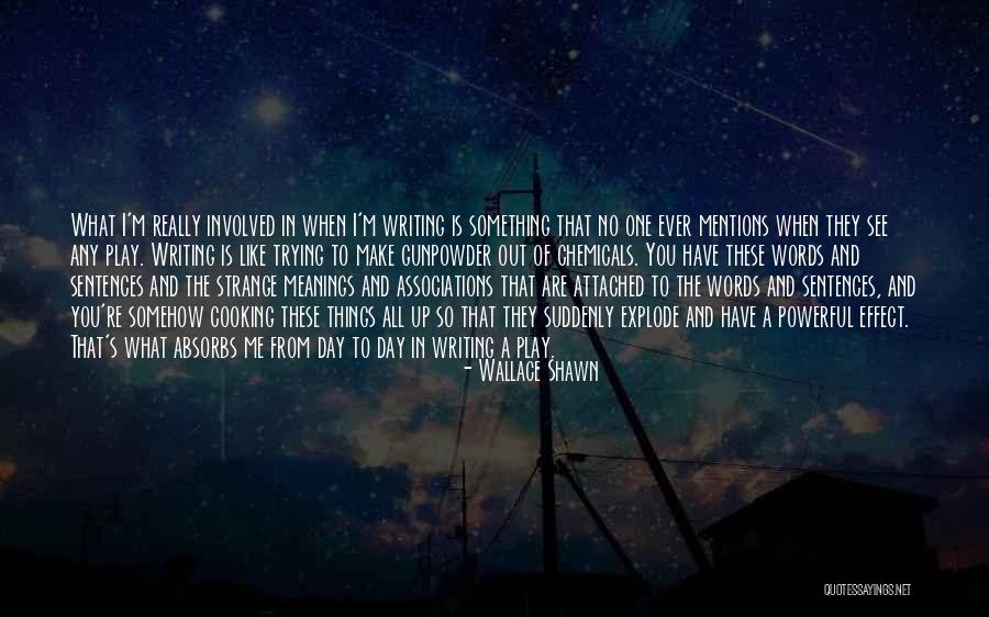 Chaunsay Quotes By Wallace Shawn Chaunsay Quotes By Wallace Shawn