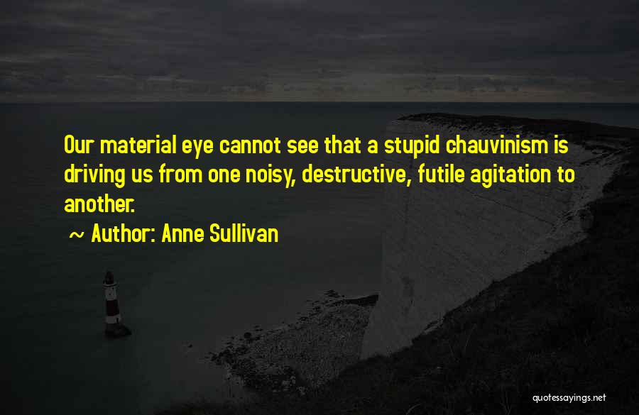 Chauvinism Quotes By Anne Sullivan