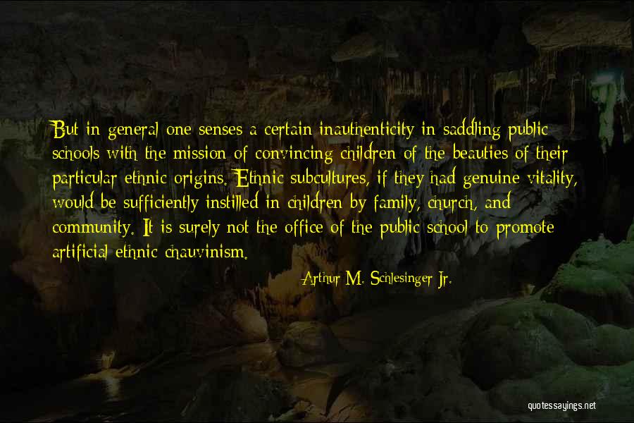 Chauvinism Quotes By Arthur M. Schlesinger Jr.