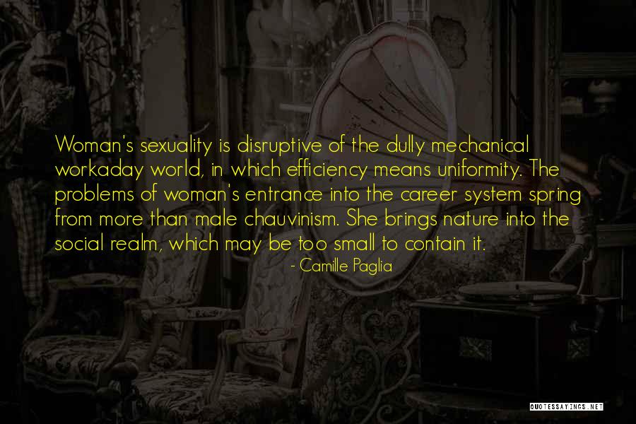 Chauvinism Quotes By Camille Paglia