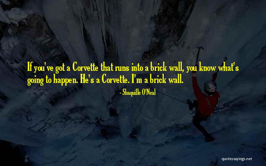Chaveco Playlist Quotes By Shaquille O'Neal Chaveco Playlist Quotes By Shaquille O'Neal