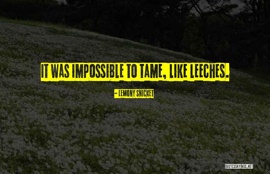 Chaviano Towing Quotes By Lemony Snicket Chaviano Towing Quotes By Lemony Snicket