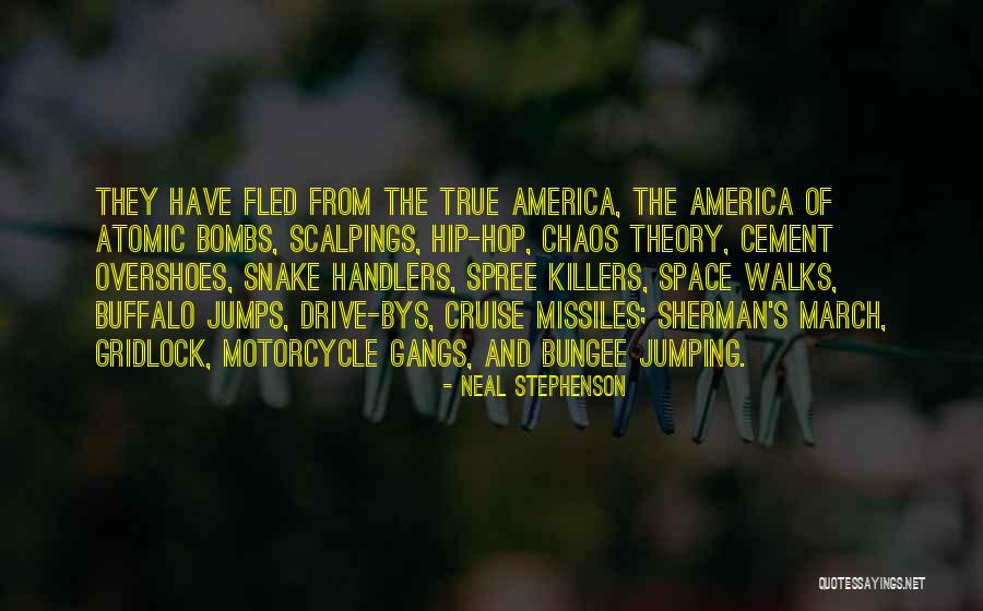 Chavvy Love Quotes By Neal Stephenson Chavvy Love Quotes By Neal Stephenson