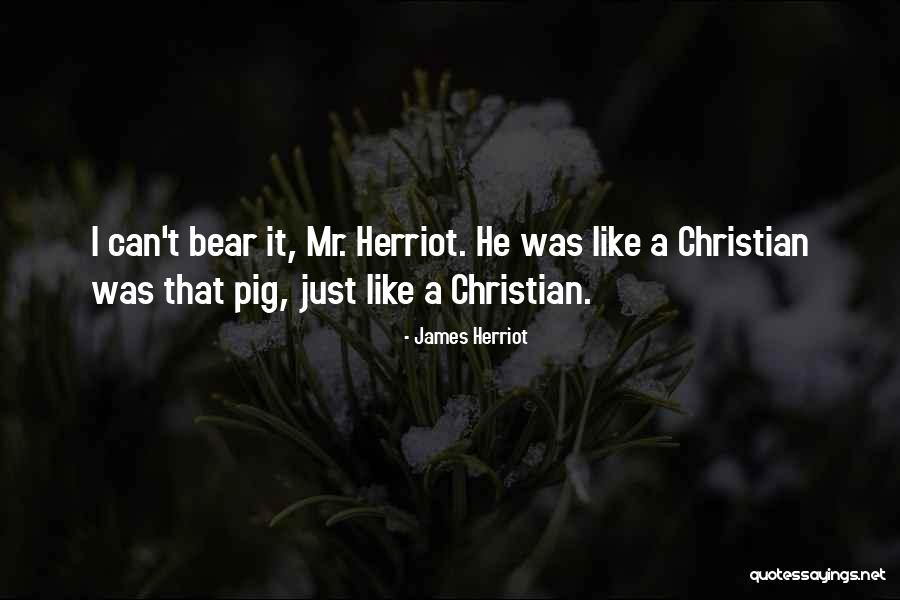 Chayanan Manomaisantiphaps Birthday Quotes By James Herriot Chayanan Manomaisantiphaps Birthday Quotes By James Herriot