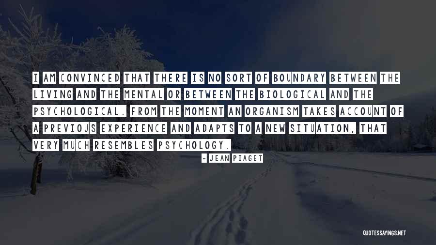 Chayce American Quotes By Jean Piaget Chayce American Quotes By Jean Piaget