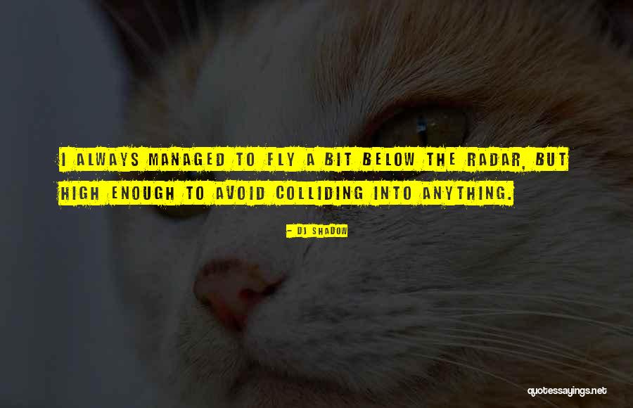 Chayenne Quotes By DJ Shadow Chayenne Quotes By DJ Shadow