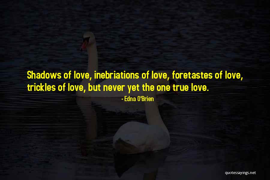 Chaylee Wilson Quotes By Edna O'Brien Chaylee Wilson Quotes By Edna O'Brien