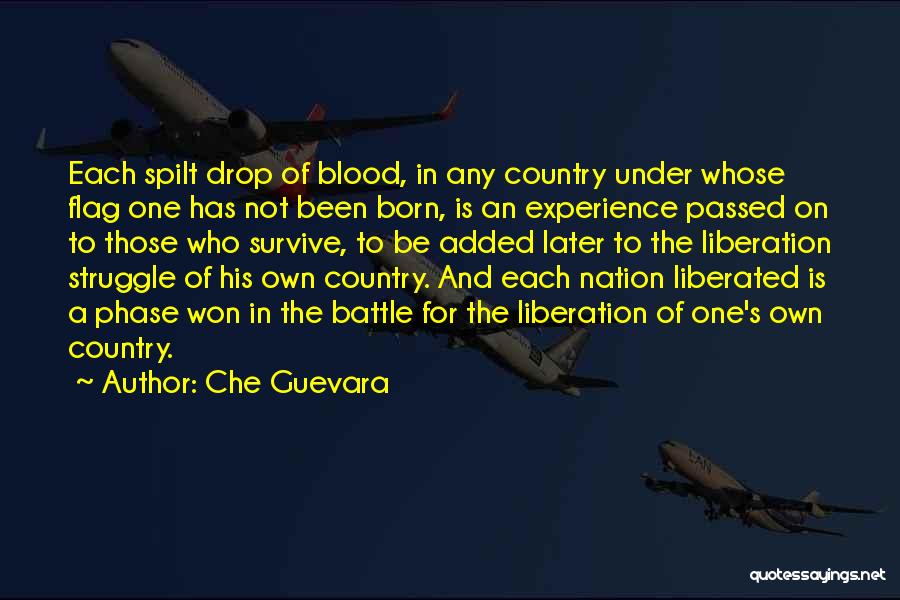 Che Guevara Quotes 1180063