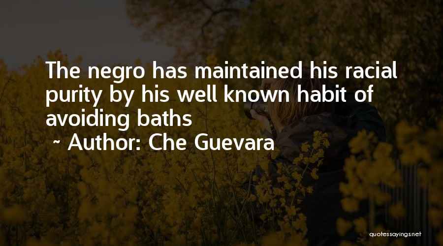 Che Guevara Quotes 958336
