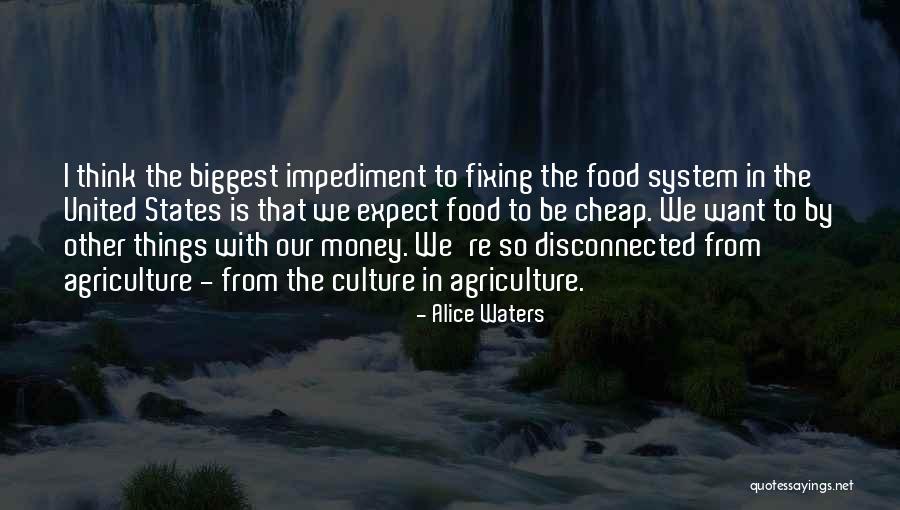 Cheap Food Quotes By Alice Waters Cheap Food Quotes By Alice Waters