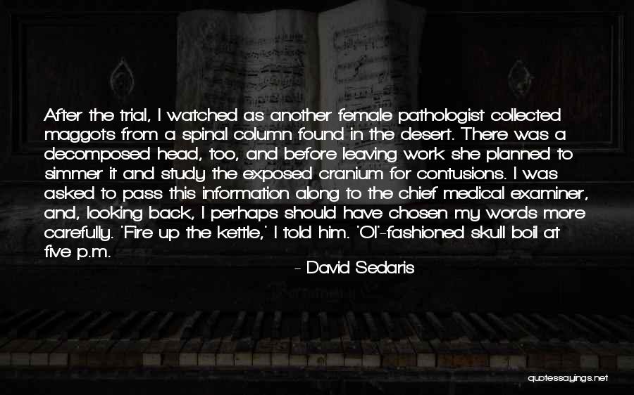Cheap House Insurance Ireland Quotes By David Sedaris Cheap House Insurance Ireland Quotes By David Sedaris