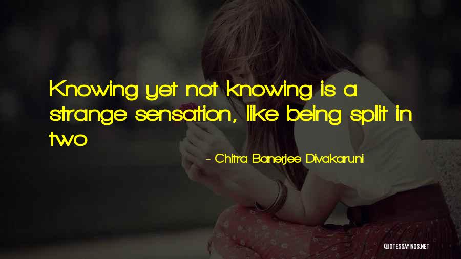Cheap Limo Quotes By Chitra Banerjee Divakaruni Cheap Limo Quotes By Chitra Banerjee Divakaruni