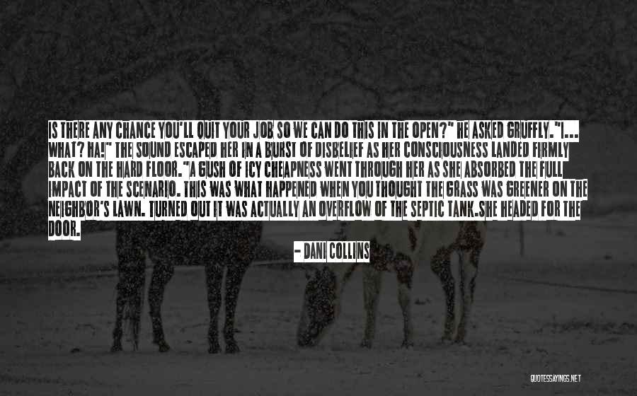 Cheapness Quotes By Dani Collins Cheapness Quotes By Dani Collins