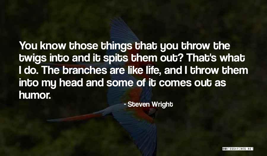 Chebyshev Calculator Quotes By Steven Wright Chebyshev Calculator Quotes By Steven Wright