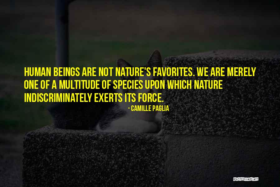 Checar Quotes By Camille Paglia Checar Quotes By Camille Paglia