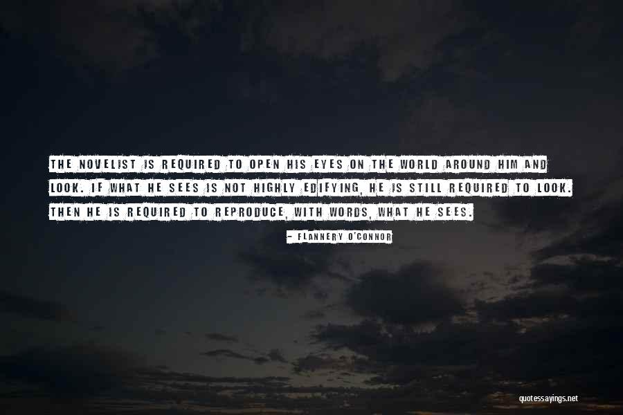 Chechu Salgado Quotes By Flannery O'Connor Chechu Salgado Quotes By Flannery O'Connor
