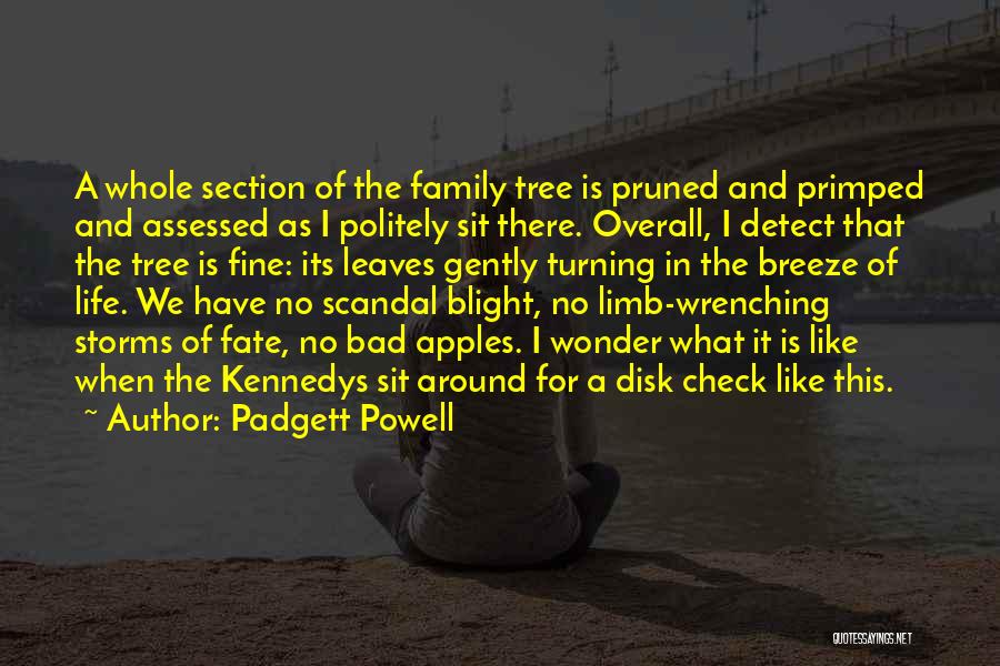 Check In Quotes By Padgett Powell