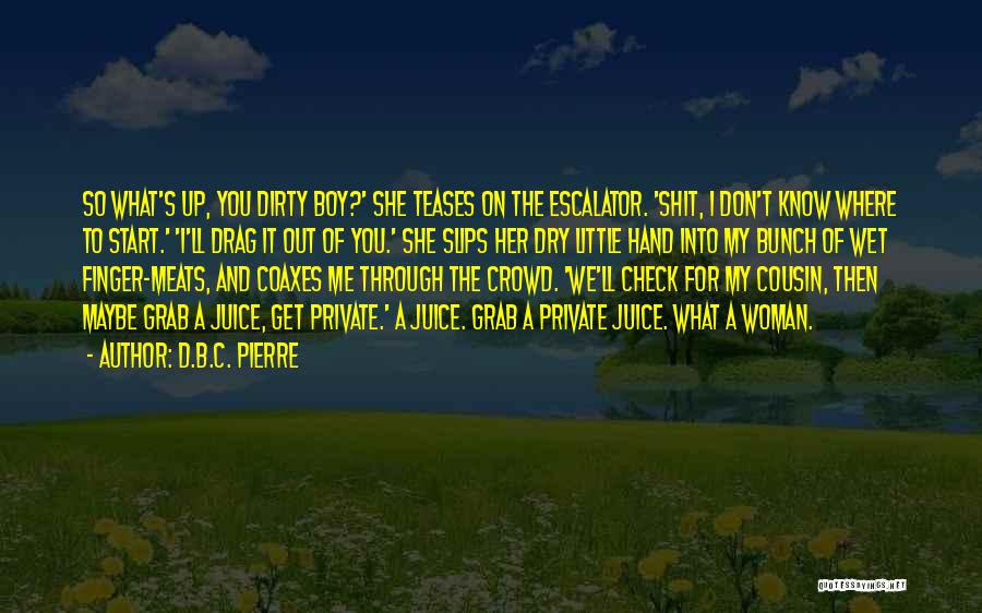 Check Me Out Quotes By D.B.C. Pierre