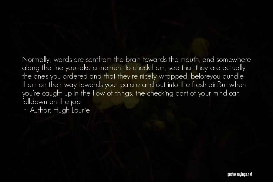 Check Up On You Quotes By Hugh Laurie