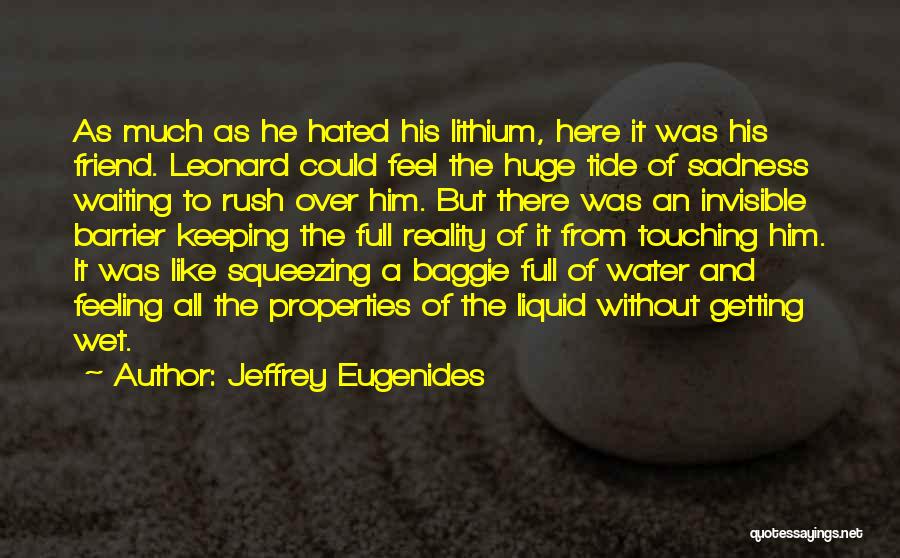 Checked And Balanced Quotes By Jeffrey Eugenides