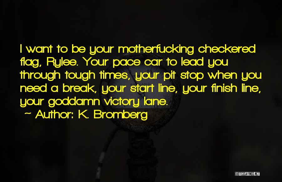 Checkered Past Quotes By K. Bromberg