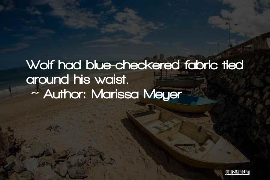 Checkered Past Quotes By Marissa Meyer