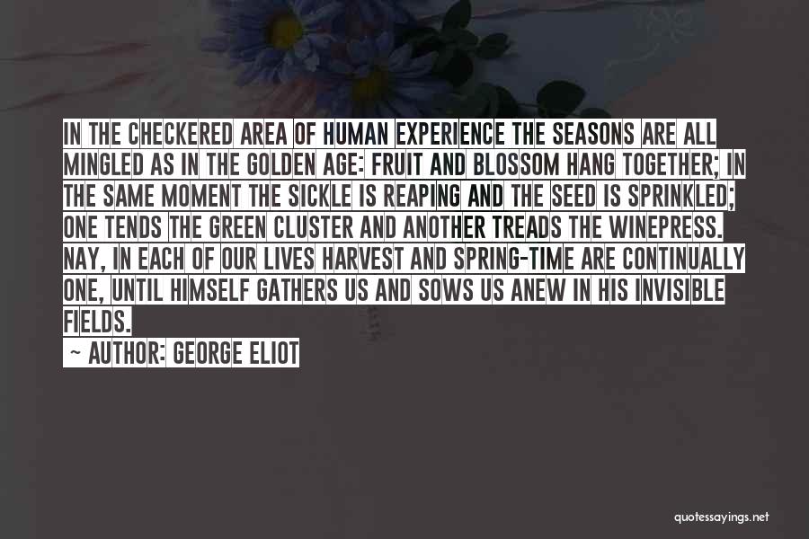 Checkered Quotes By George Eliot