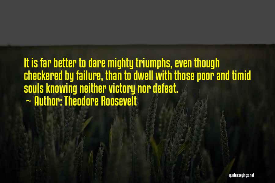 Checkered Quotes By Theodore Roosevelt