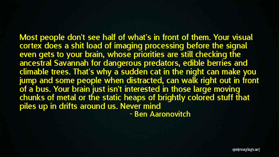 Checking You Out Quotes By Ben Aaronovitch Checking You Out Quotes By Ben Aaronovitch