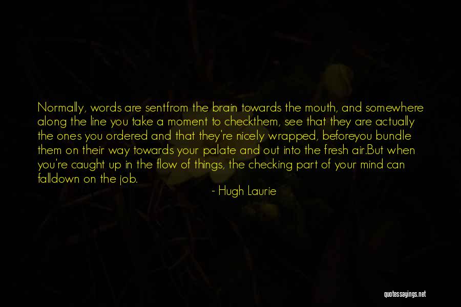 Checking You Out Quotes By Hugh Laurie Checking You Out Quotes By Hugh Laurie