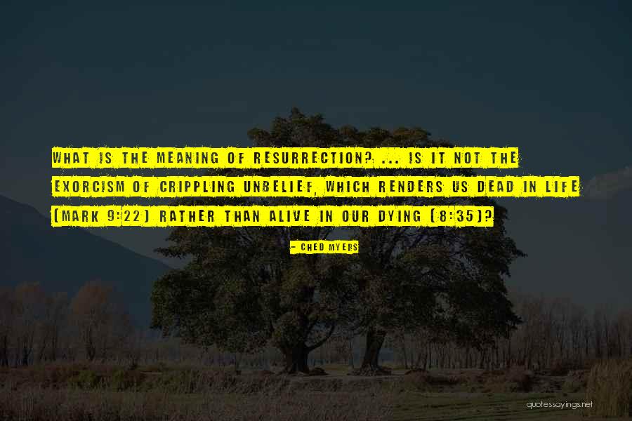 Ched Myers Quotes 1999821 Ched Myers Quotes 1999821