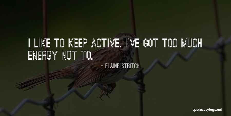 Cheder At The Ohel Quotes By Elaine Stritch Cheder At The Ohel Quotes By Elaine Stritch