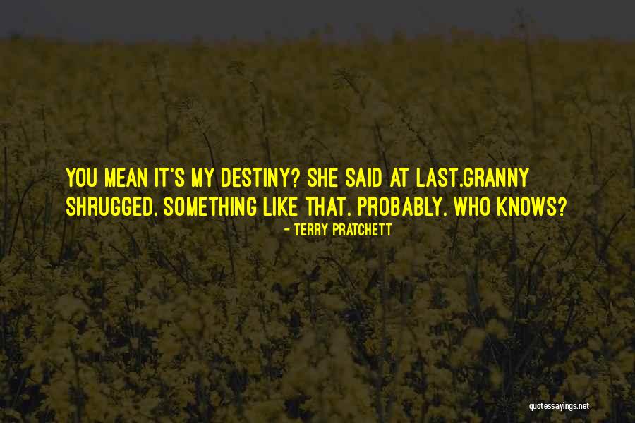 Chedjou Yrina Quotes By Terry Pratchett Chedjou Yrina Quotes By Terry Pratchett