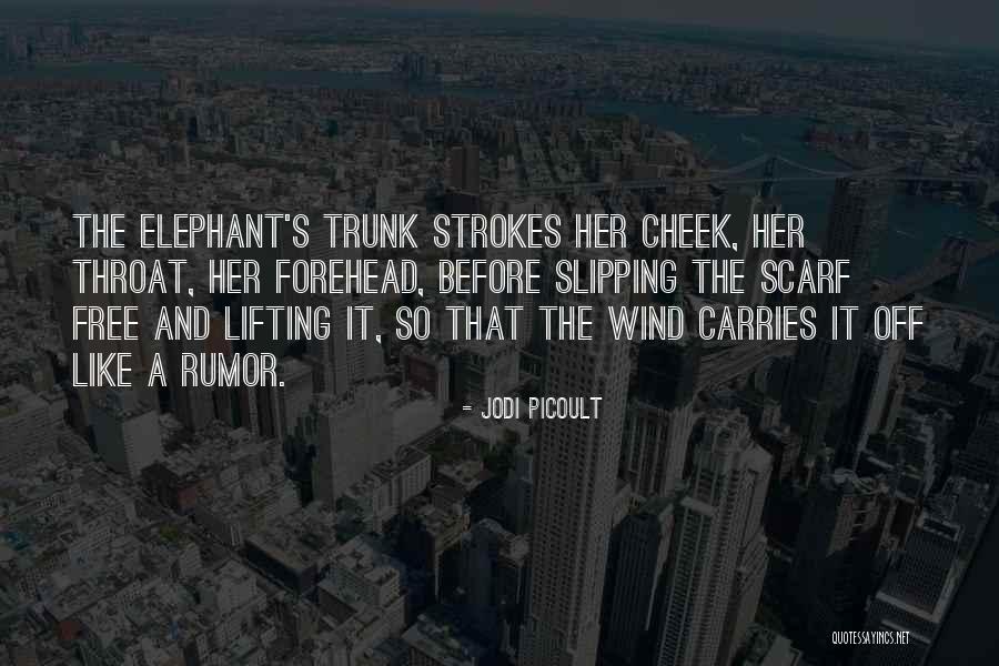 Cheek Quotes By Jodi Picoult