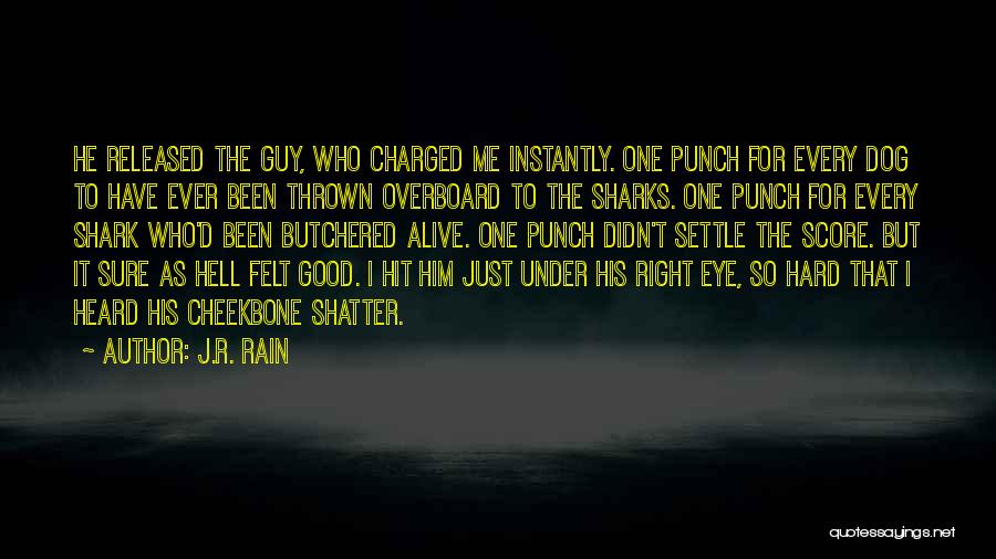 Cheekbone Quotes By J.R. Rain