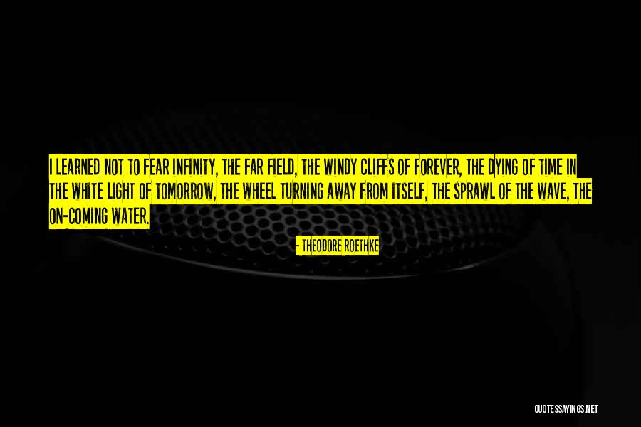 Cheema Freightlines Quotes By Theodore Roethke Cheema Freightlines Quotes By Theodore Roethke