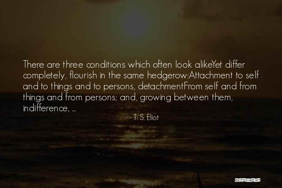 Cheer From Gabi Butler Quotes By T. S. Eliot Cheer From Gabi Butler Quotes By T. S. Eliot