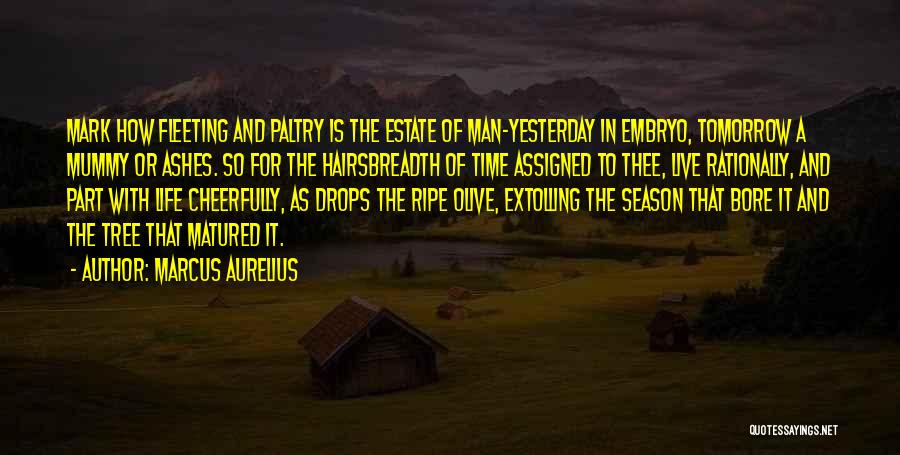 Cheer One Man Quotes By Marcus Aurelius