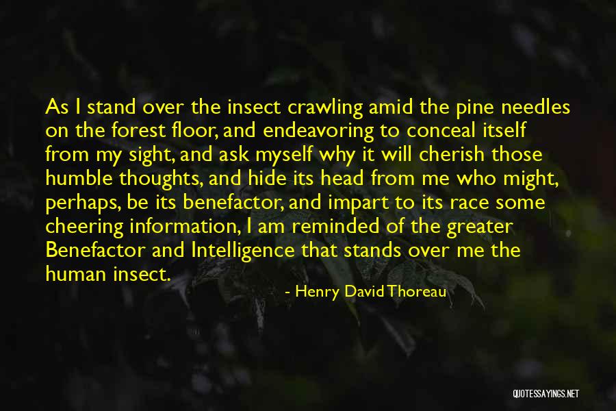 Cheering On Quotes By Henry David Thoreau Cheering On Quotes By Henry David Thoreau
