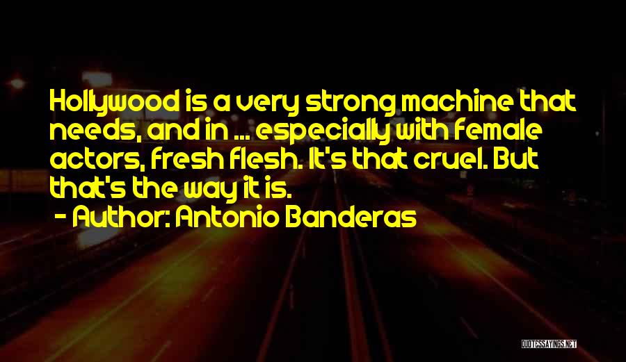 Cheerleading Unity Quotes By Antonio Banderas