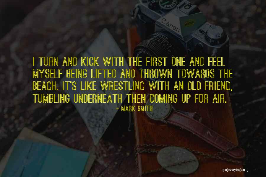 Cheerly Pokemon Quotes By Mark Smith Cheerly Pokemon Quotes By Mark Smith
