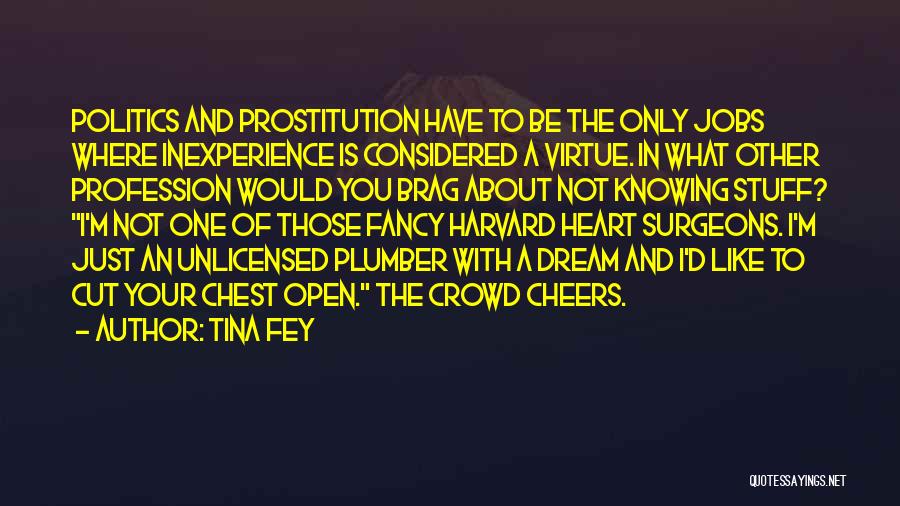 Cheers To Those Quotes By Tina Fey