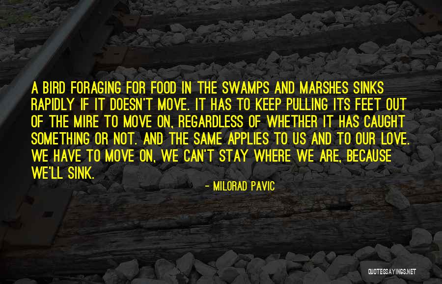 Cheeseborough Clamp Quotes By Milorad Pavic Cheeseborough Clamp Quotes By Milorad Pavic