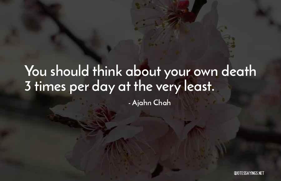 Cheesebrough Rakes Quotes By Ajahn Chah Cheesebrough Rakes Quotes By Ajahn Chah