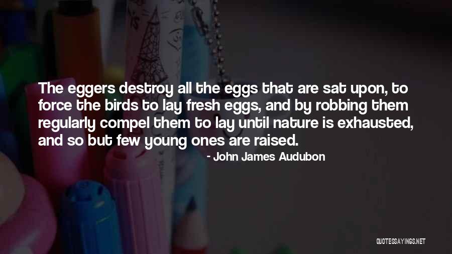 Cheeseburgers And More Jupiter Quotes By John James Audubon Cheeseburgers And More Jupiter Quotes By John James Audubon